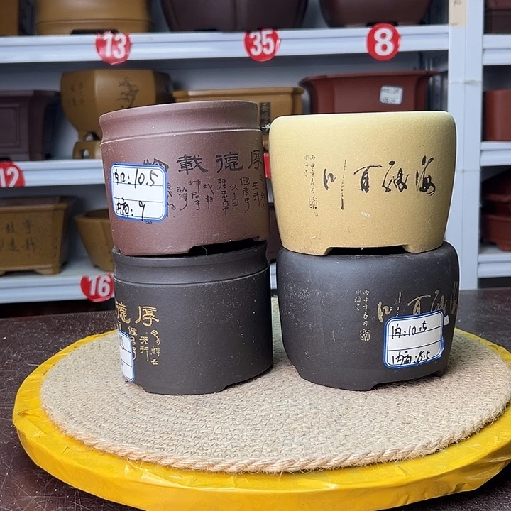紫砂花盆蛇年大吉