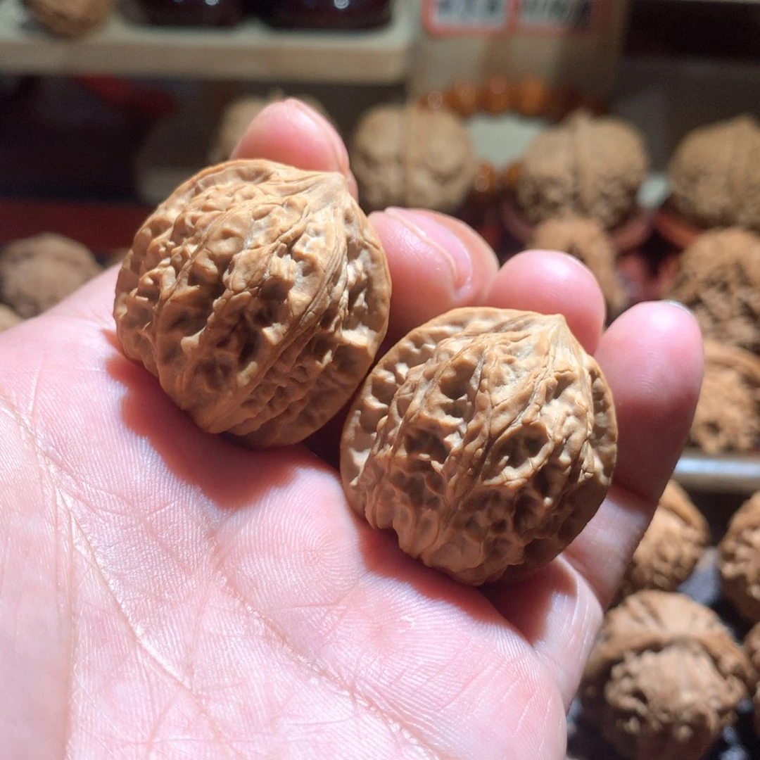 全品无修 野生小手捻31尺寸