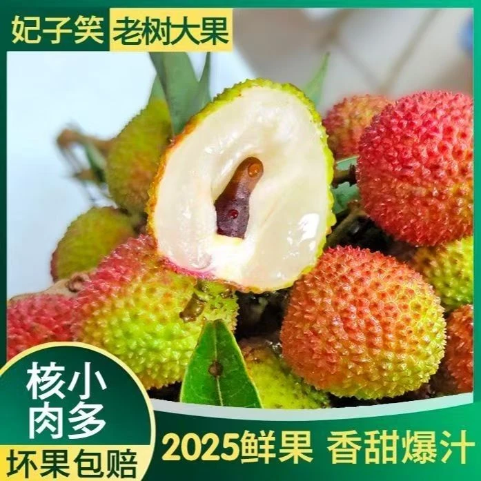 【冷链直发】头茬新鲜荔枝当季新鲜水果当季精选果