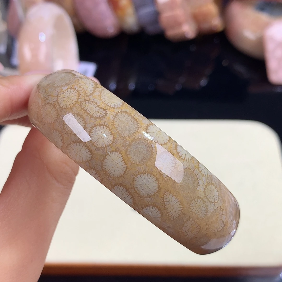 吊坠(赠链)未镶嵌硅化珊瑚（珊瑚玉）33号立体号58圈