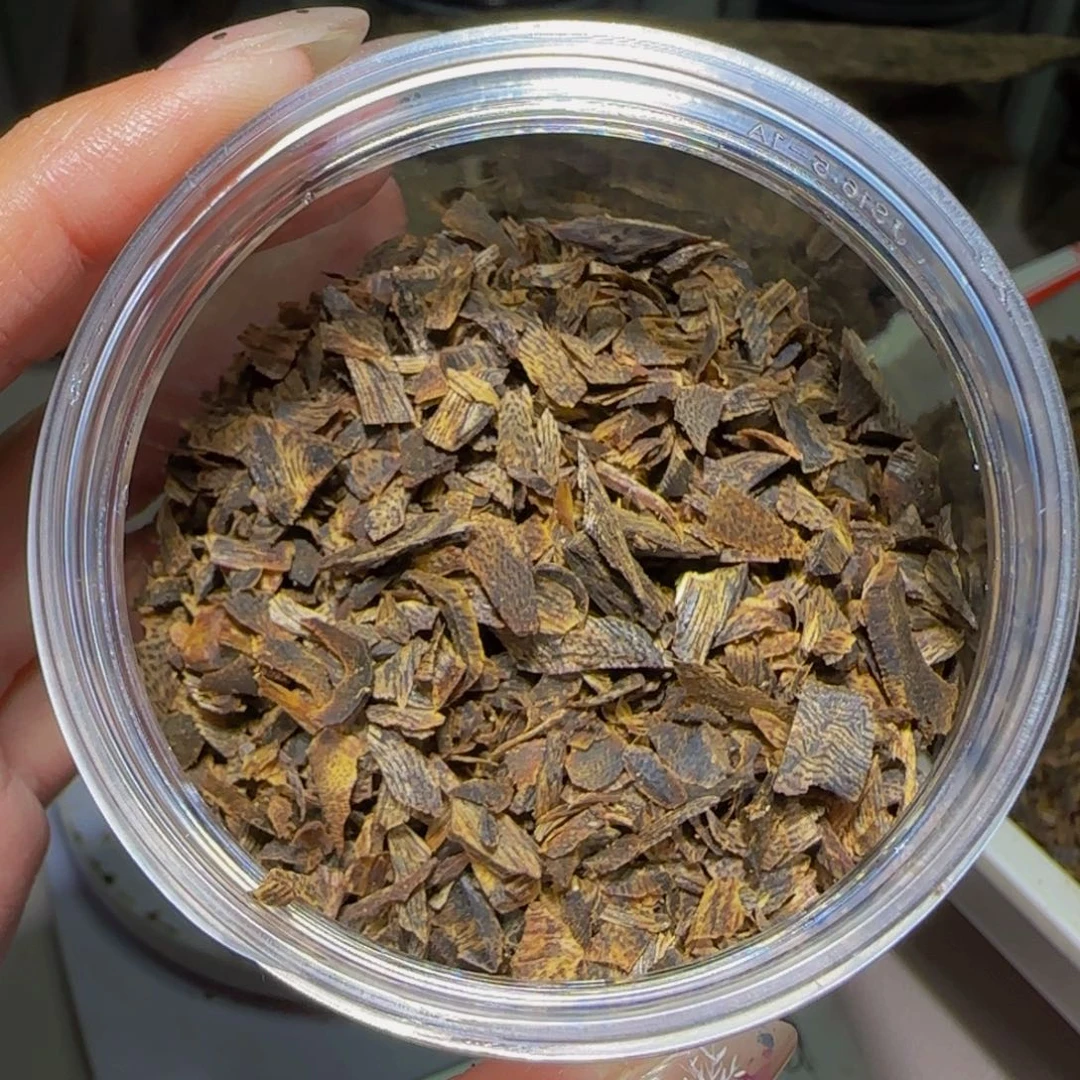 6***2沉香沉香碎屑奇楠沉水白棋树丁老料22克