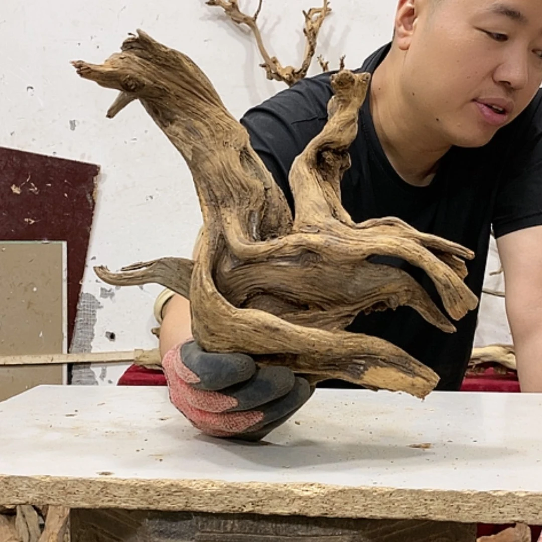 【闪购商品】柏木苏*庄我们都是好孩子