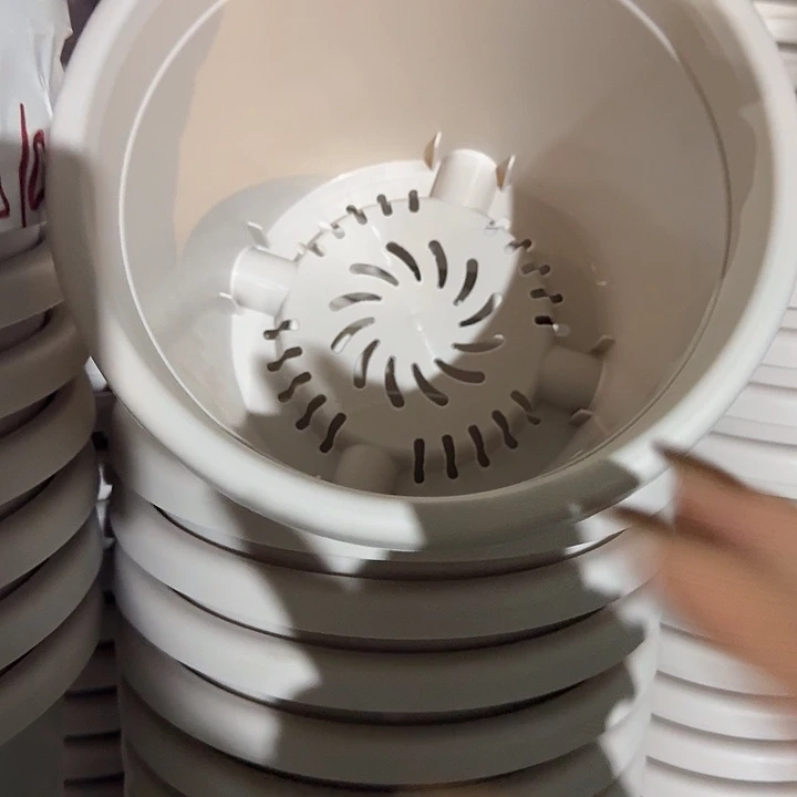 四季3号灰白无托10个特价微瑕