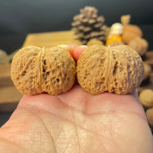 39尺寸  金锭元宝（云南铁核桃一物一图产地直发）