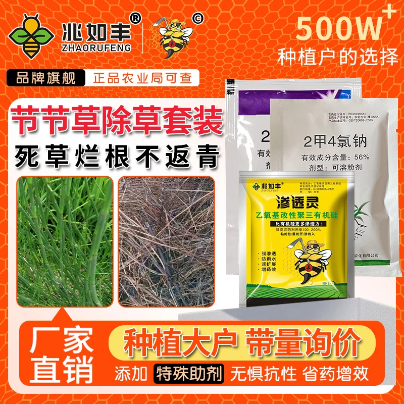 兆如丰节节草专用强效除草笔管草克星强力去除套装除草剂