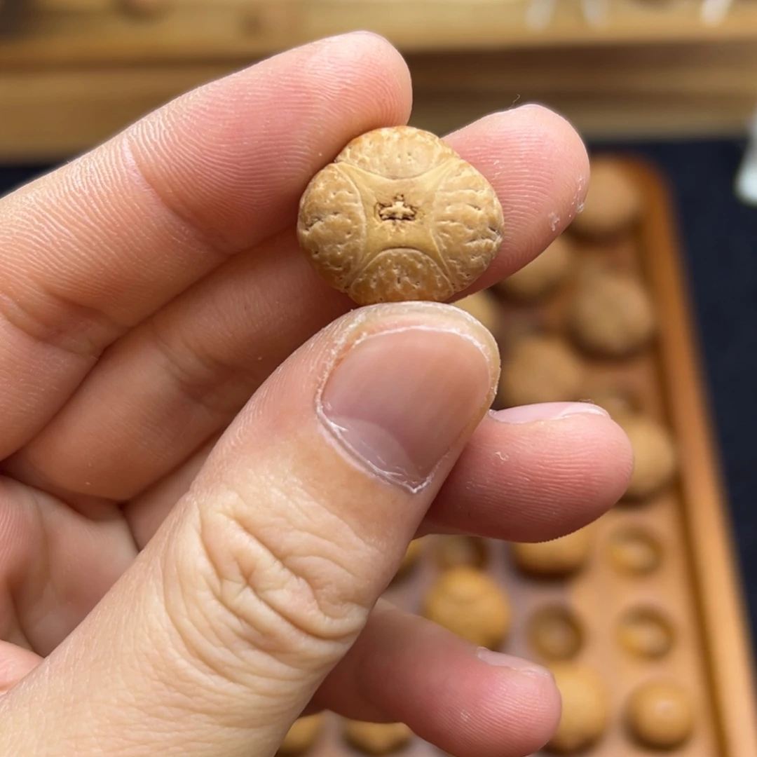 凤眼菩提手串19.8梅花麒麟眼