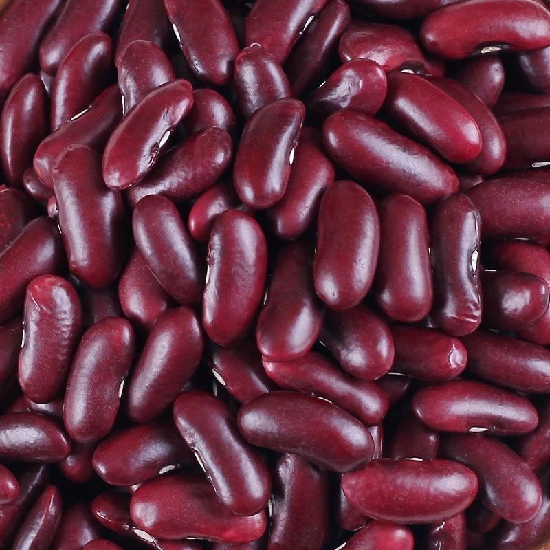 云南大红豆红腰豆红芸豆五谷杂粮红豆沙馅酸菜汤沙拉豆甜品煲汤豆