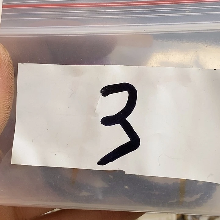 *****最美古村专属链接