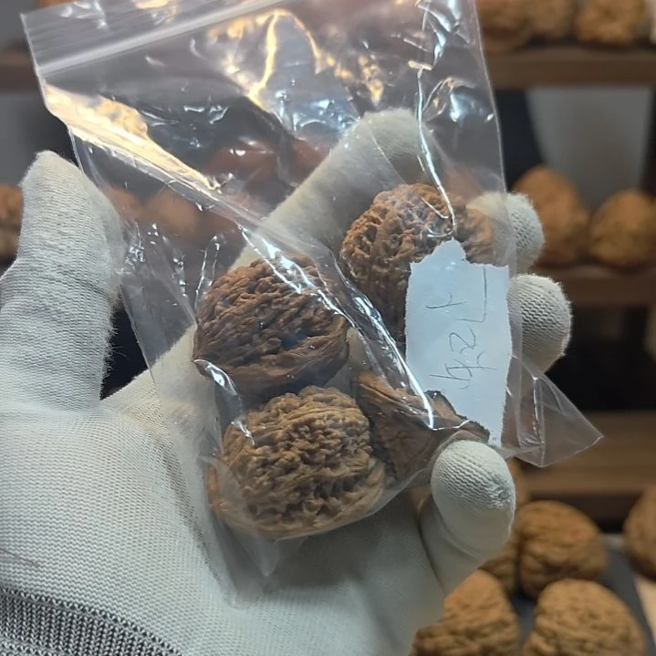 知***止涿鹿南疆石练手两对
