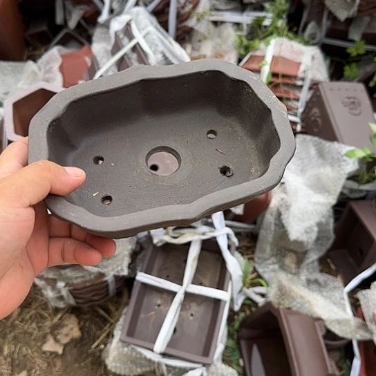 你就在家里吃好吧别想着