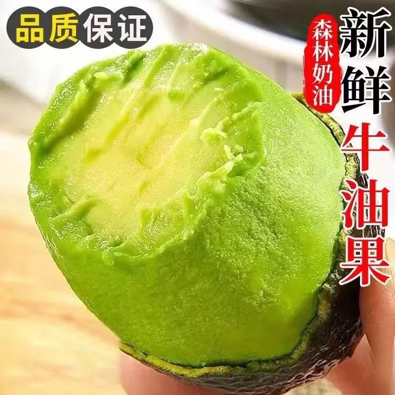 【秘鲁牛油果】130-160g6枚绵密健康美味坏果包赔（赠：芥末+酱油）