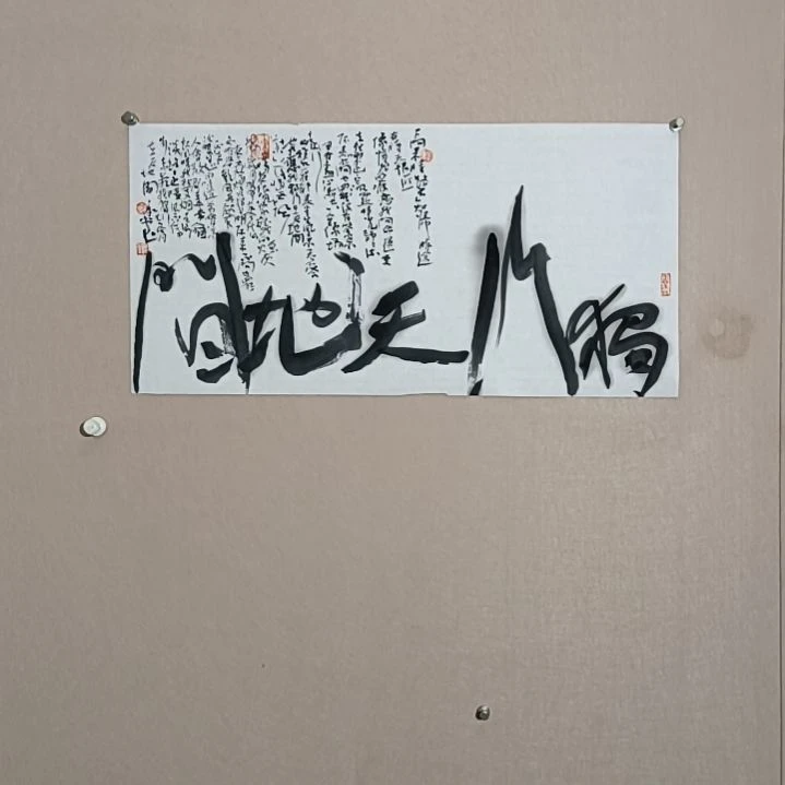 书法独行其道大光圈里