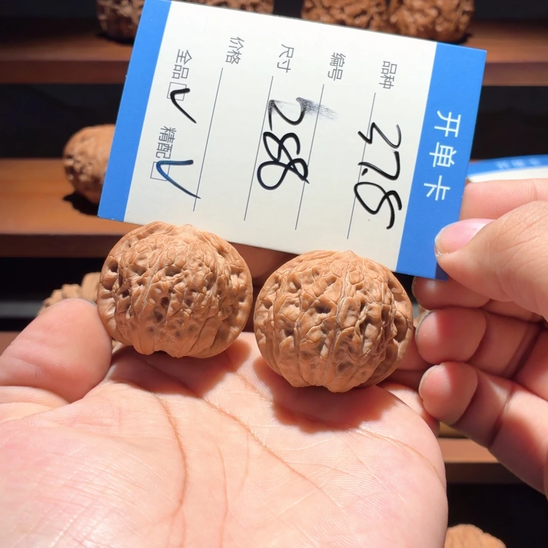 全品无修 37.5尺血麒麟福利