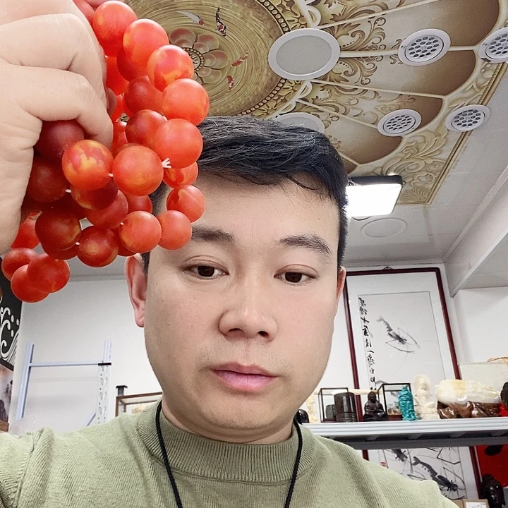 树脂非金属2512。