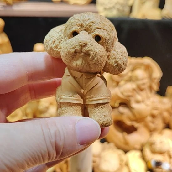 黄杨木小叶黄杨木泰迪狗