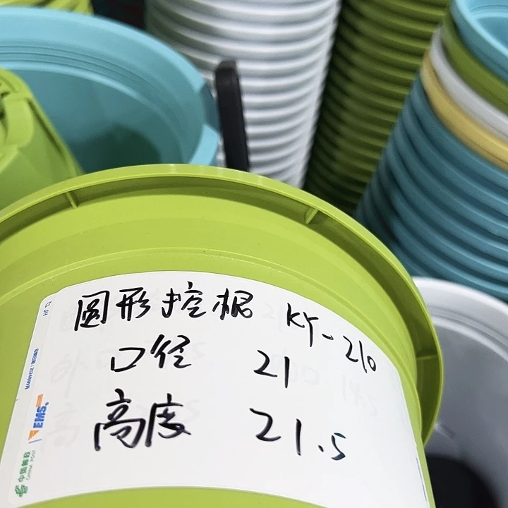 正品圆控口21高21果绿无托8只