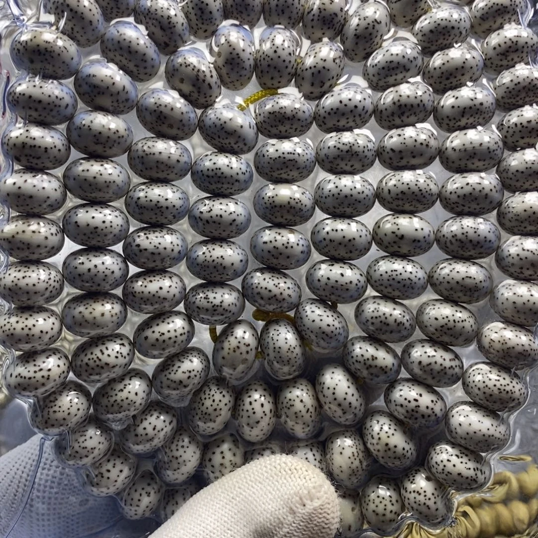 ＠***立吊坠星月菩提9✖️13原生态算盘108
