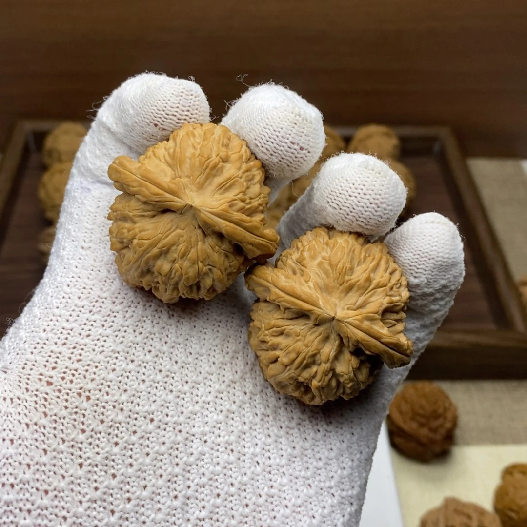 核桃全品白狮子44尺寸