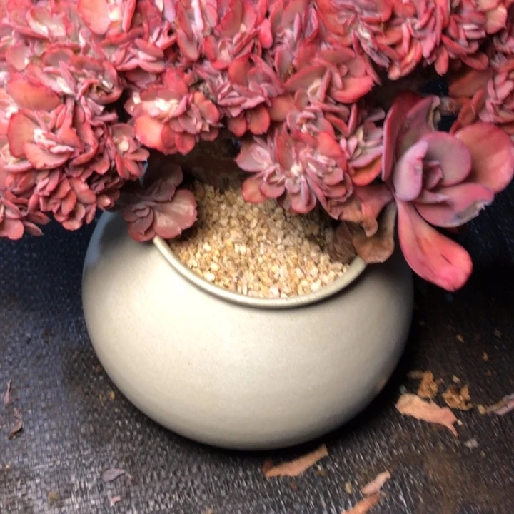 茹74//////////////////