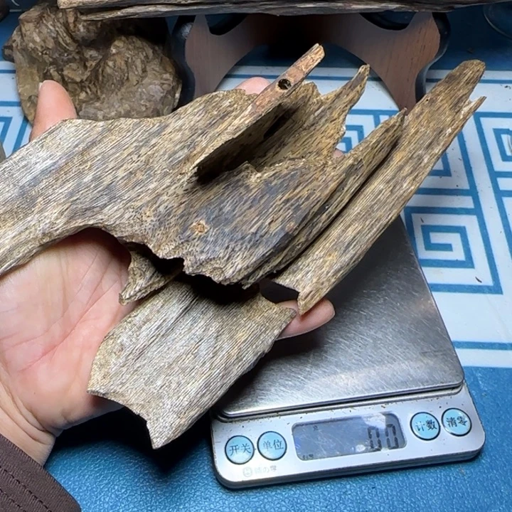 木质绿奇陆河虫漏63克