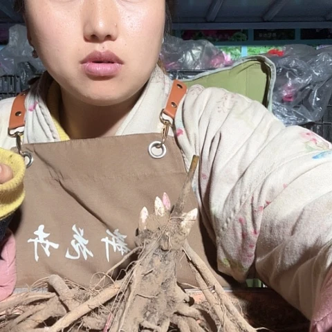 当前无花栽培后可以开花黑海波涛