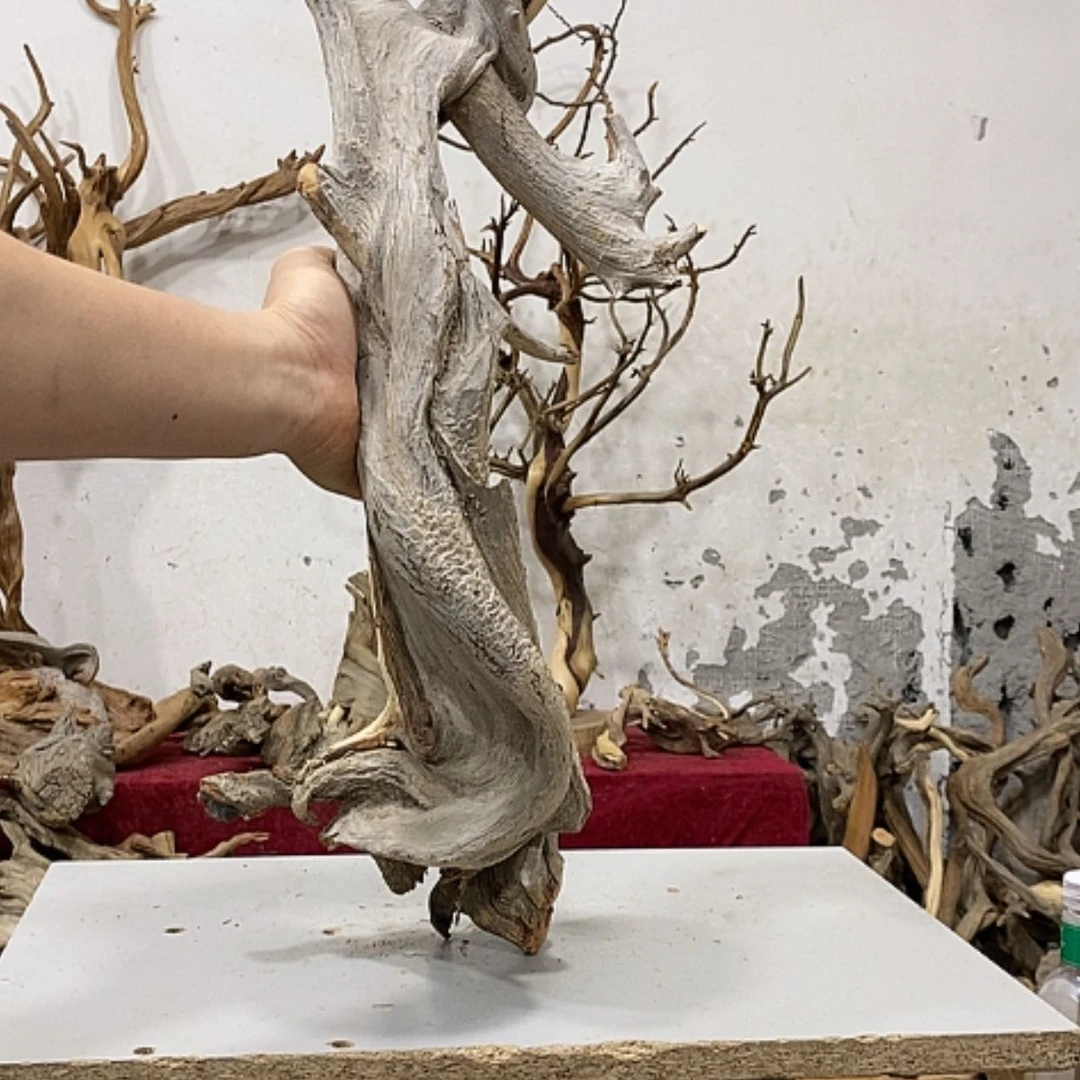 【闪购商品】柏木用****6我们都是好孩子啊