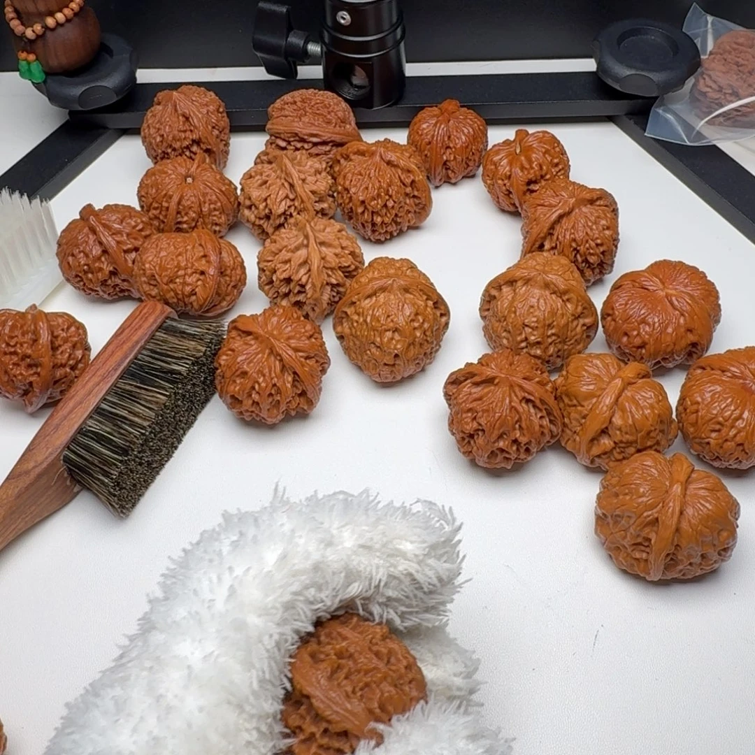 杨***了40 三角箭毒蛙蛤蟆头