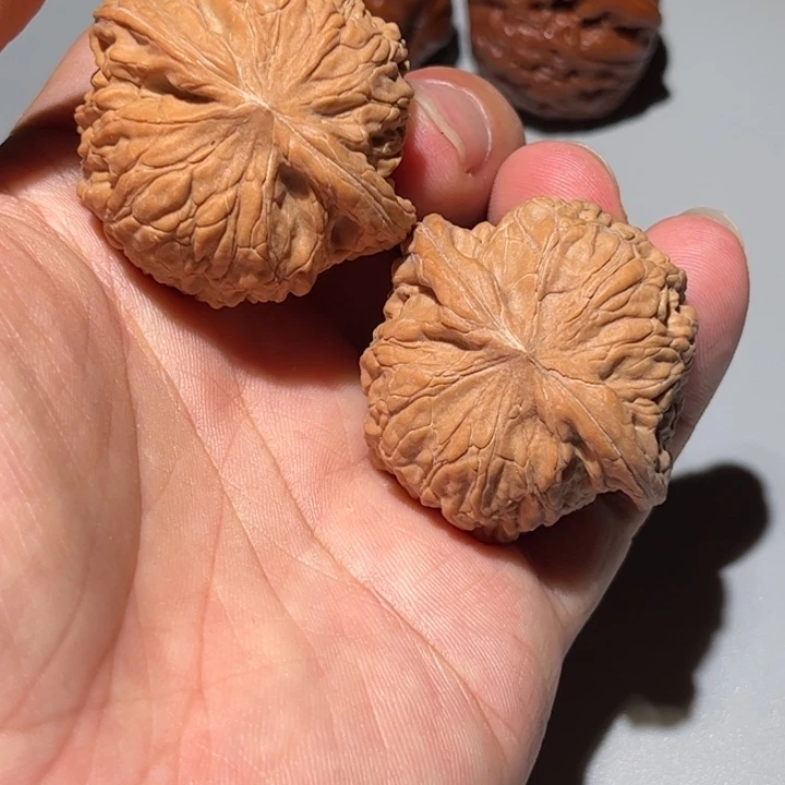 桃核把件狮子头核桃教练