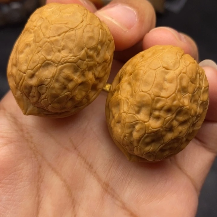 把件文玩核桃37尺金龟玉甲