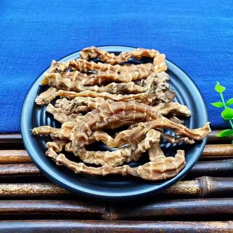 高海拔精选【虫草参】