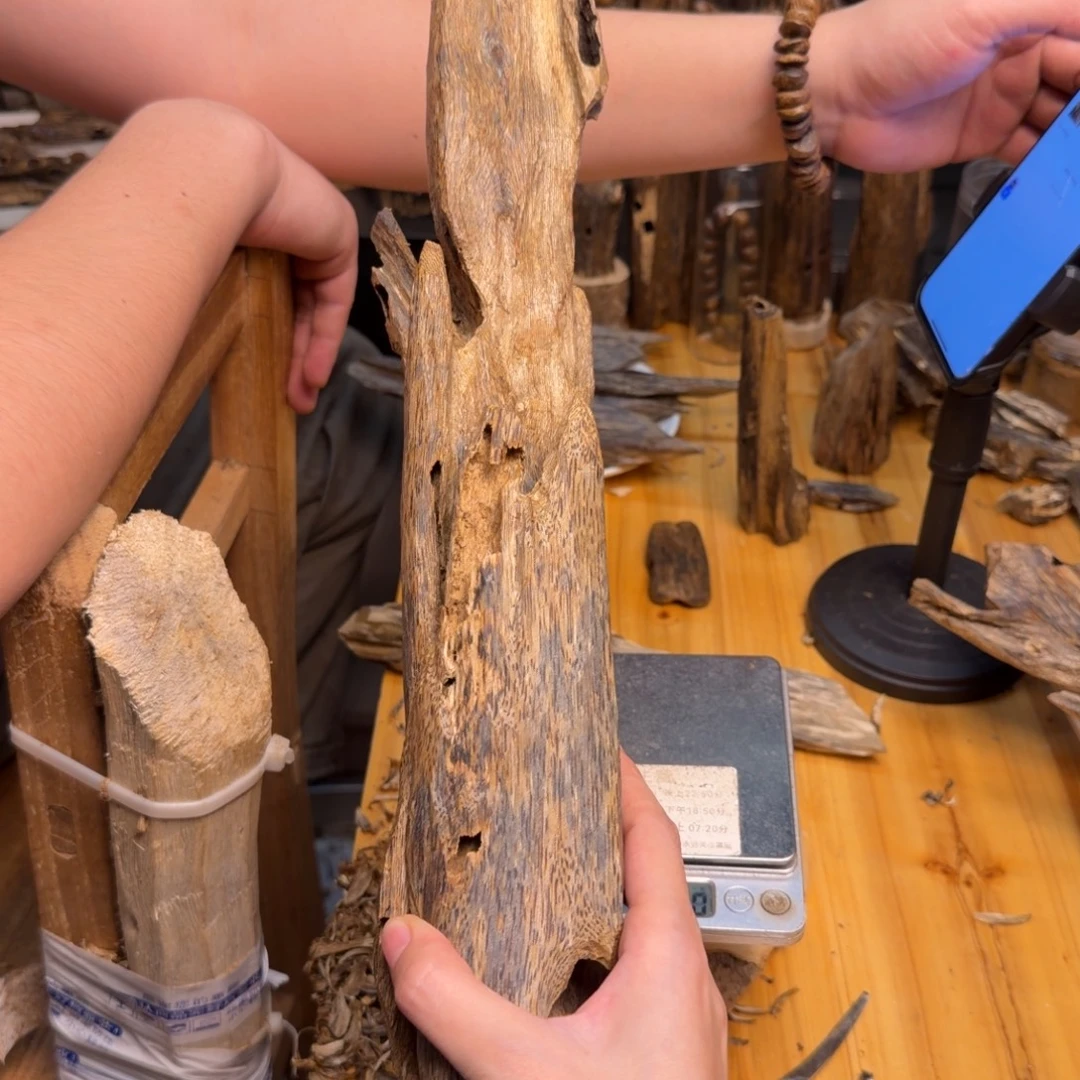 沉香碎屑沉香海南老白棋一代苗343克