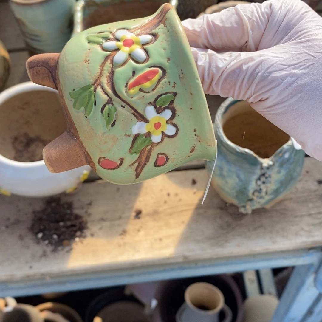 红陶潇*47号多肉盆一个呀