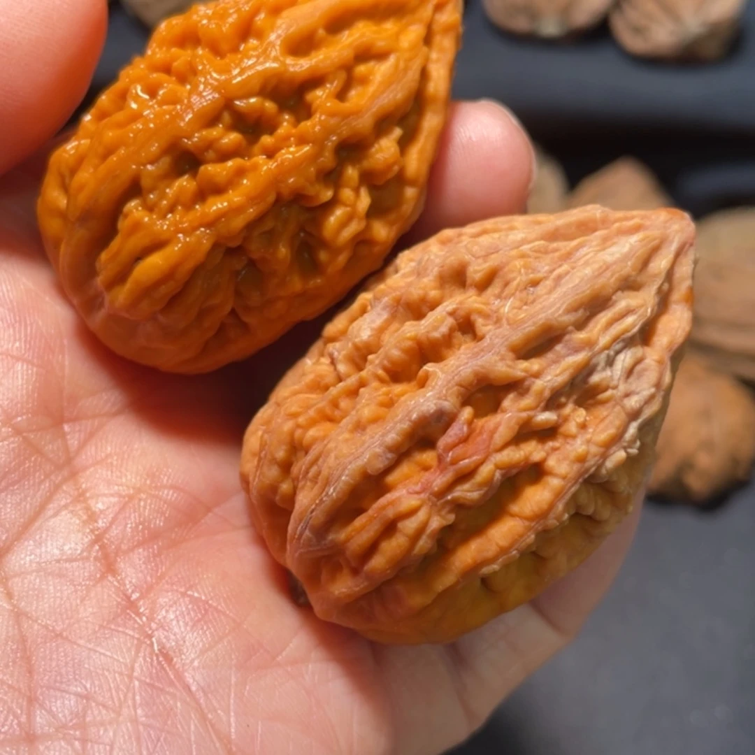 【闪购商品】文玩核桃把件东北楸子1