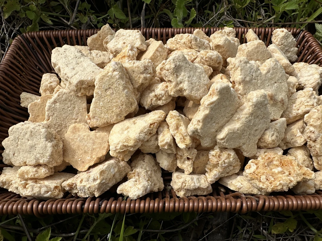 阿兴山货【蜂-王-胎】净含量：250g-1500g【非菌菇】