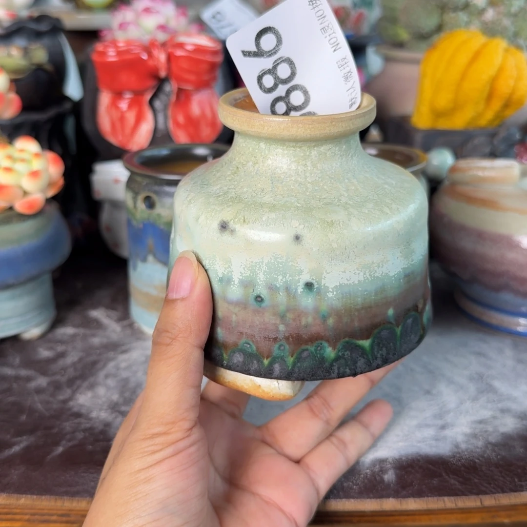 重庆小燕子欢迎大家886