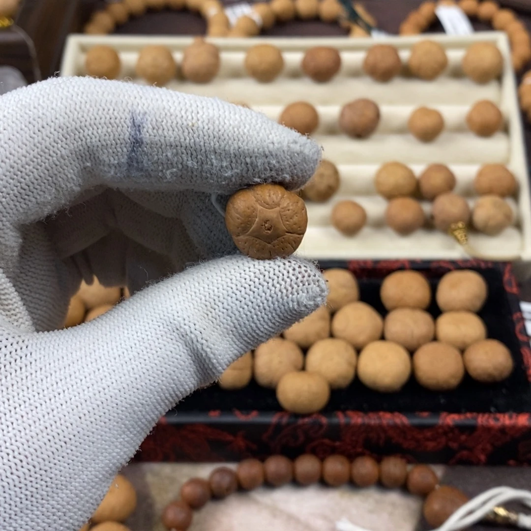 吊坠凤眼菩提15.7五星单颗