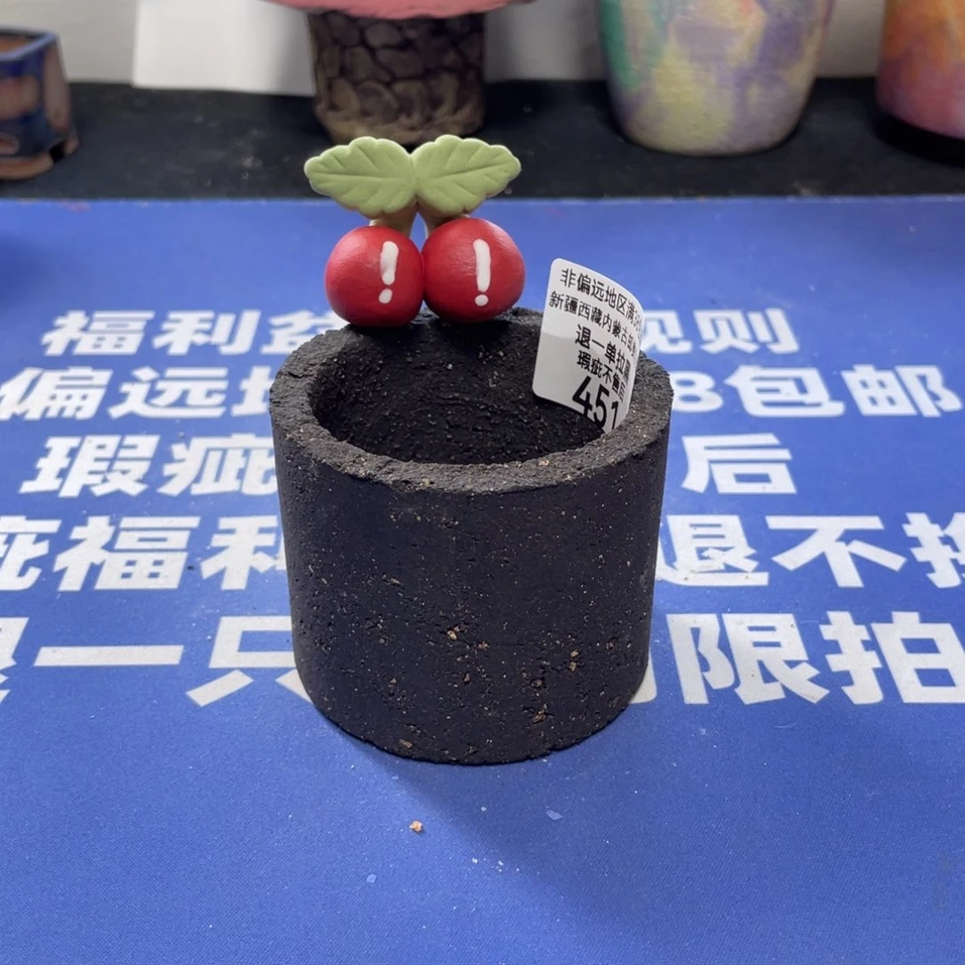 特价微瑕疵不退不换哦451