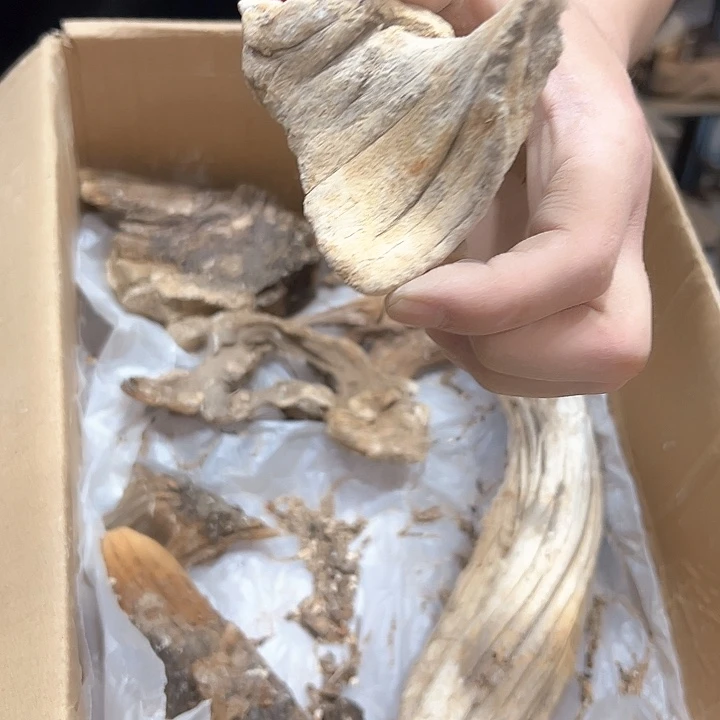 柏木四***༨我们的生活是以自己为