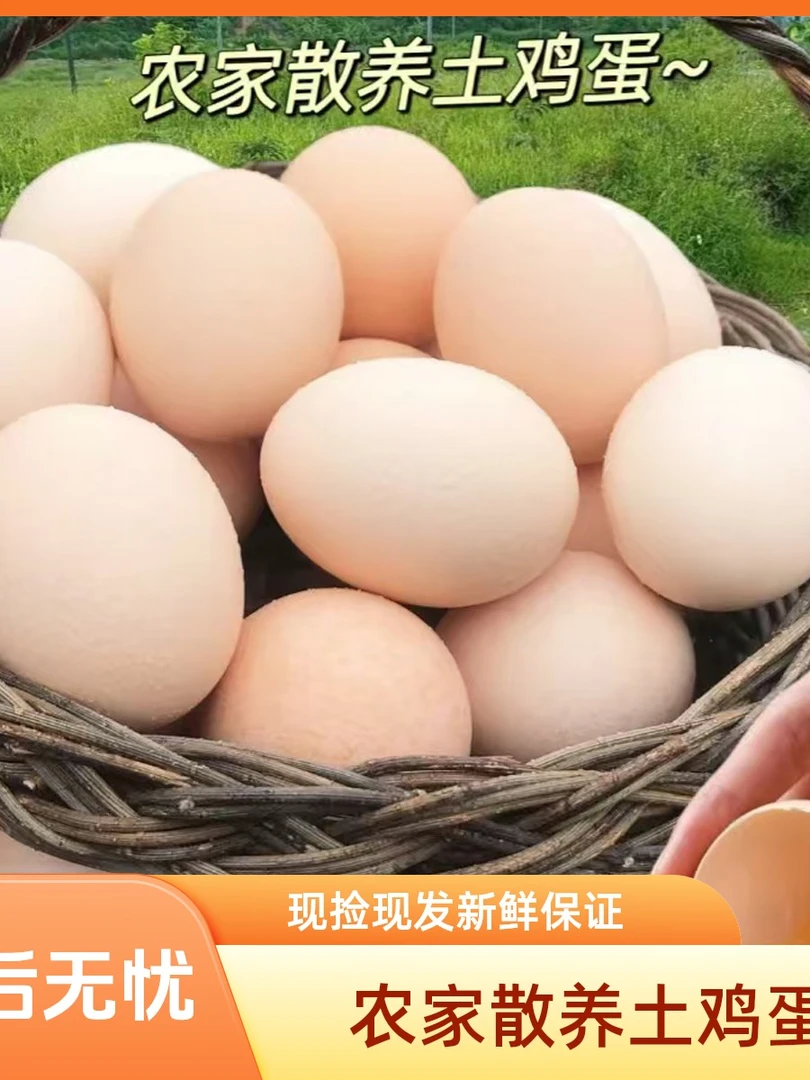 【手工·挑选】50枚农村散养土鸡蛋高品质现捡现发保土保正宗