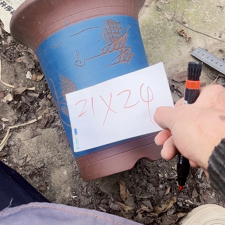 紫砂花盆111111111