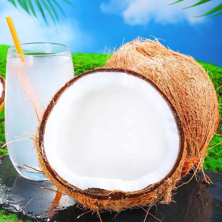 海南新鲜老椰子老椰青老椰皇去皮椰子当季椰奶椰汁现摘孕妇水果