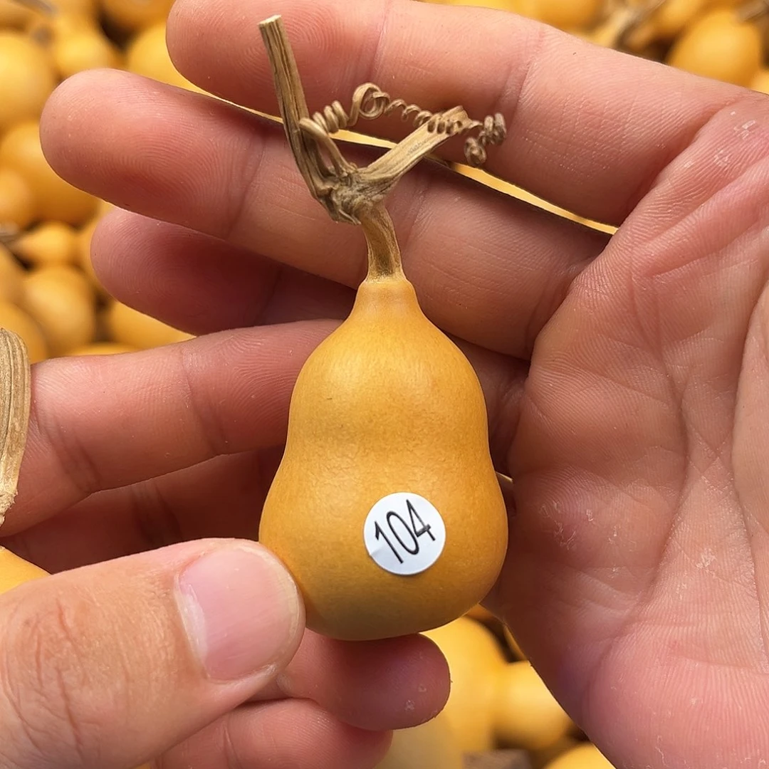 五葫芦葫芦葫芦葫芦104