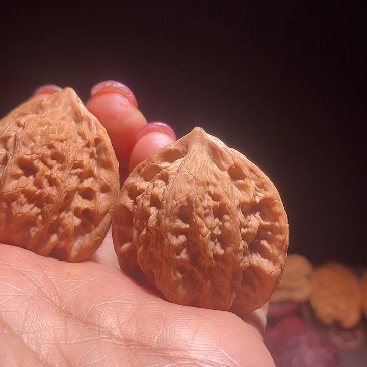 苹果园等景点进行