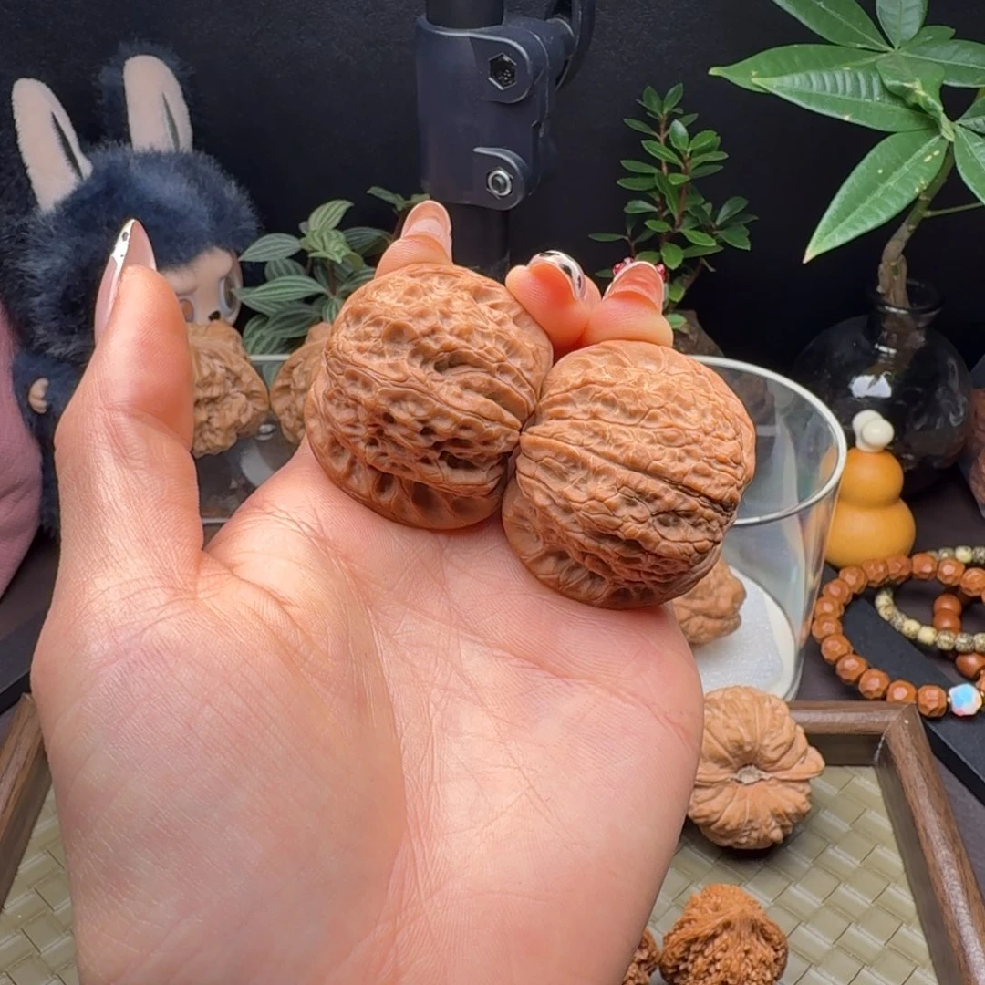 把件龙脊菩提全品血麒麟40