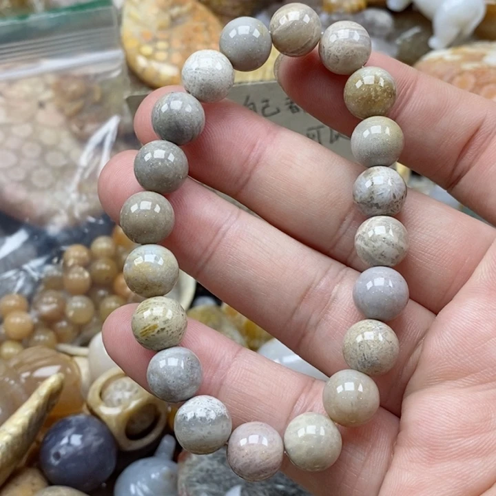 硅化珊瑚（珊瑚玉）未镶嵌颈饰