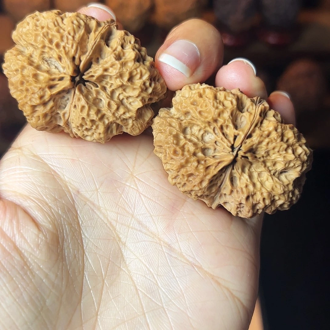 苍山神鹰       46