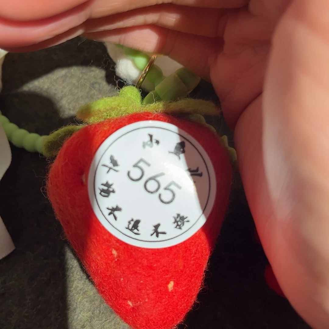 杯皮*猫565好外场不退不换