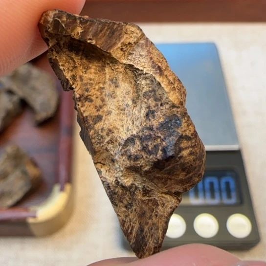 沉香摆件老海南霸王岭沉水包头2.7克