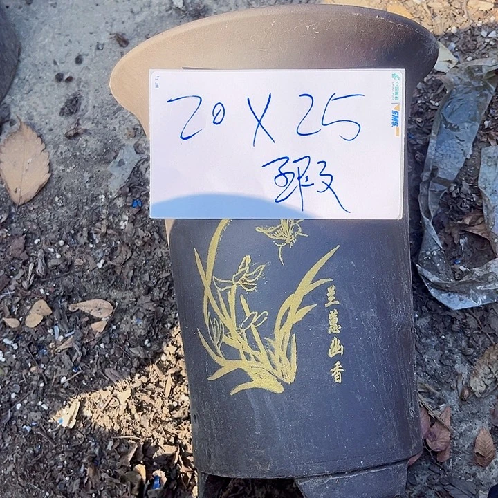 紫砂花盆111111111