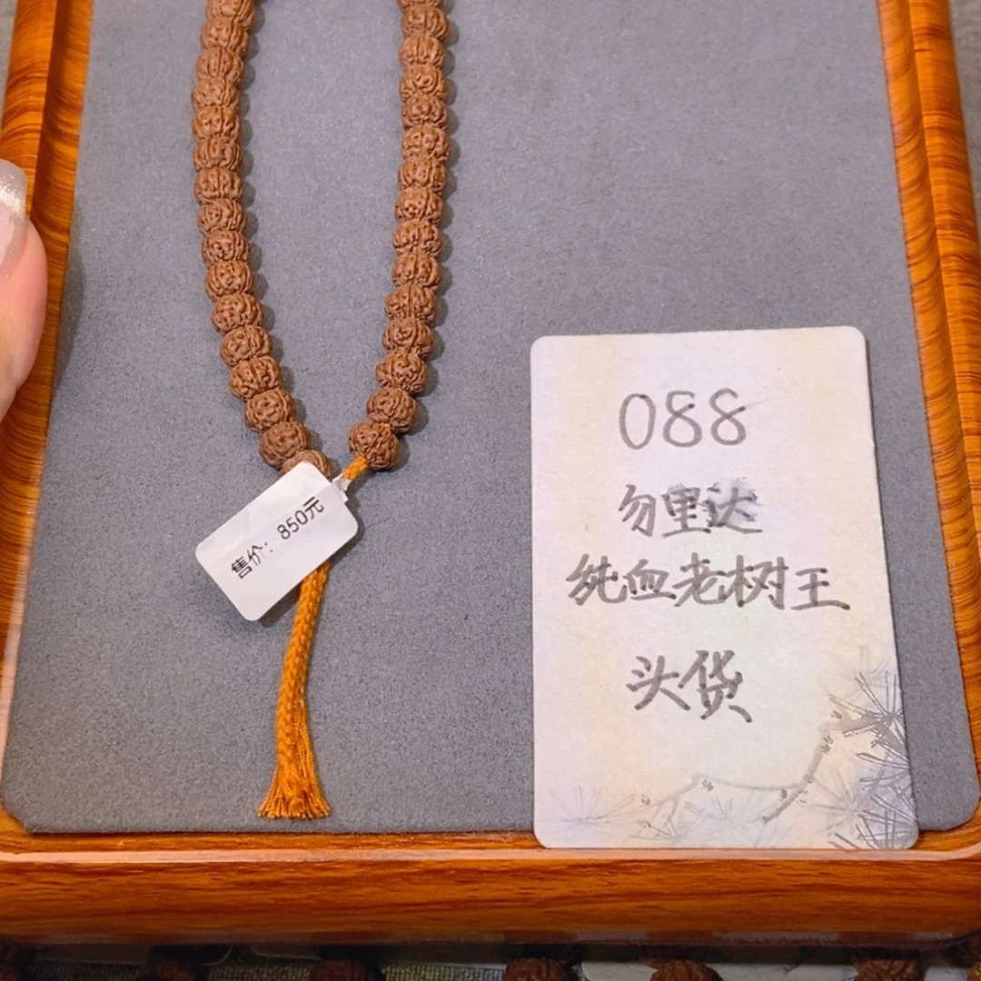 金刚菩提吊坠088头货勿里达纯血老树王9.1